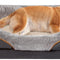 Large Memory Foam Dog Bed, Orthopedic Dog Bed & Sofa with Removable Washable Cover and Squeaker Toy as Gift