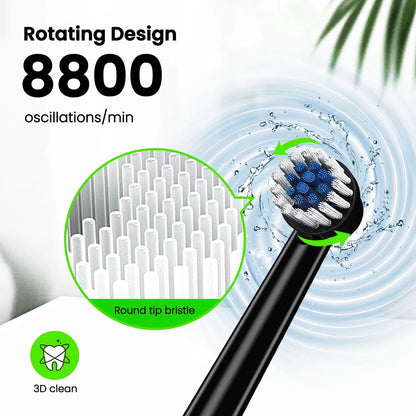 Rotating Electric Toothbrush for Adults, Rechargeable Spin Ultrasonic Toothbrush with TYPE-A Charging,4 Brush Heads, Black