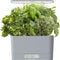 Harvest - Indoor Garden with LED Grow Light, Cool Gray